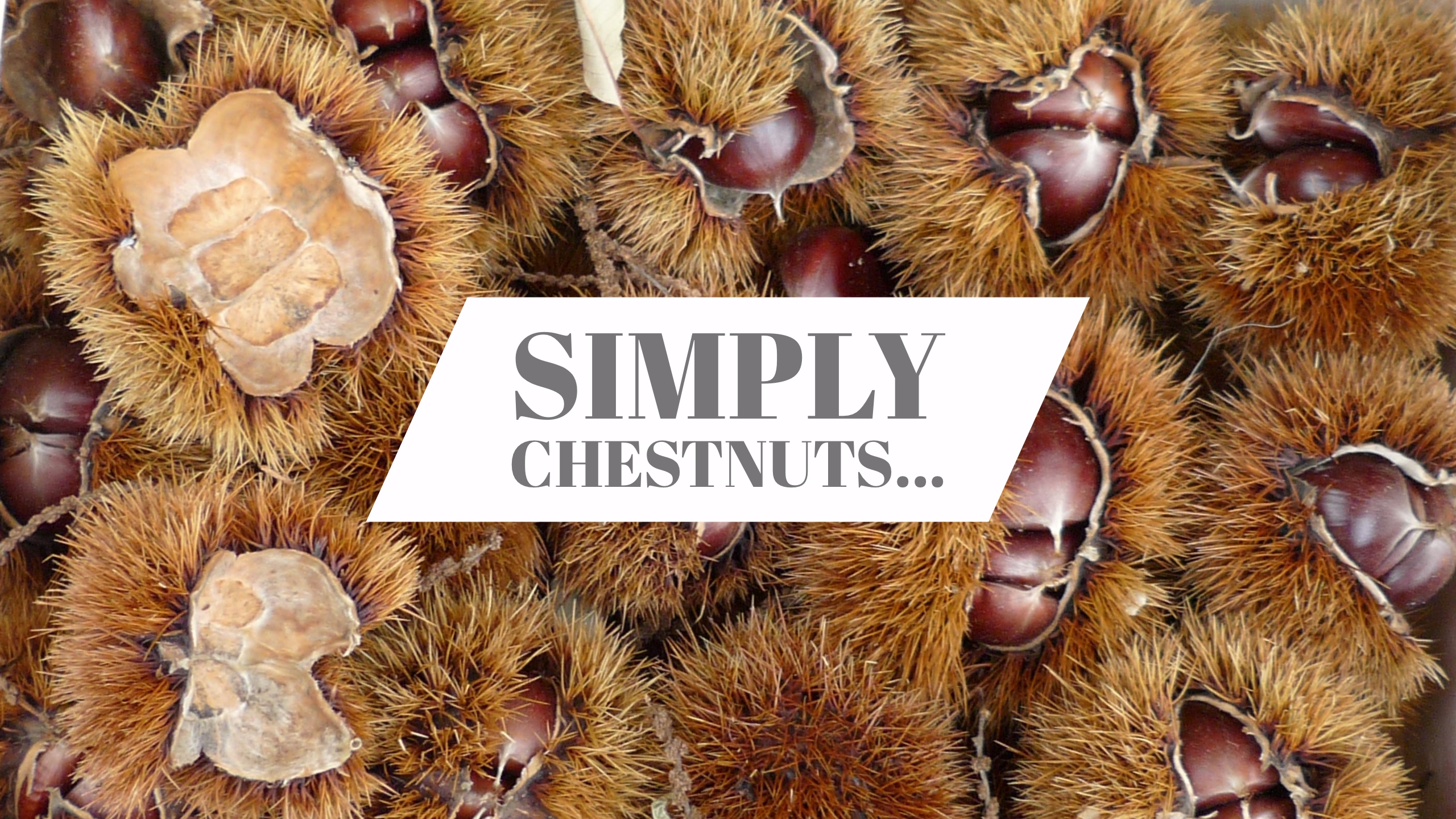 0950_chestnuts_cov_artkey