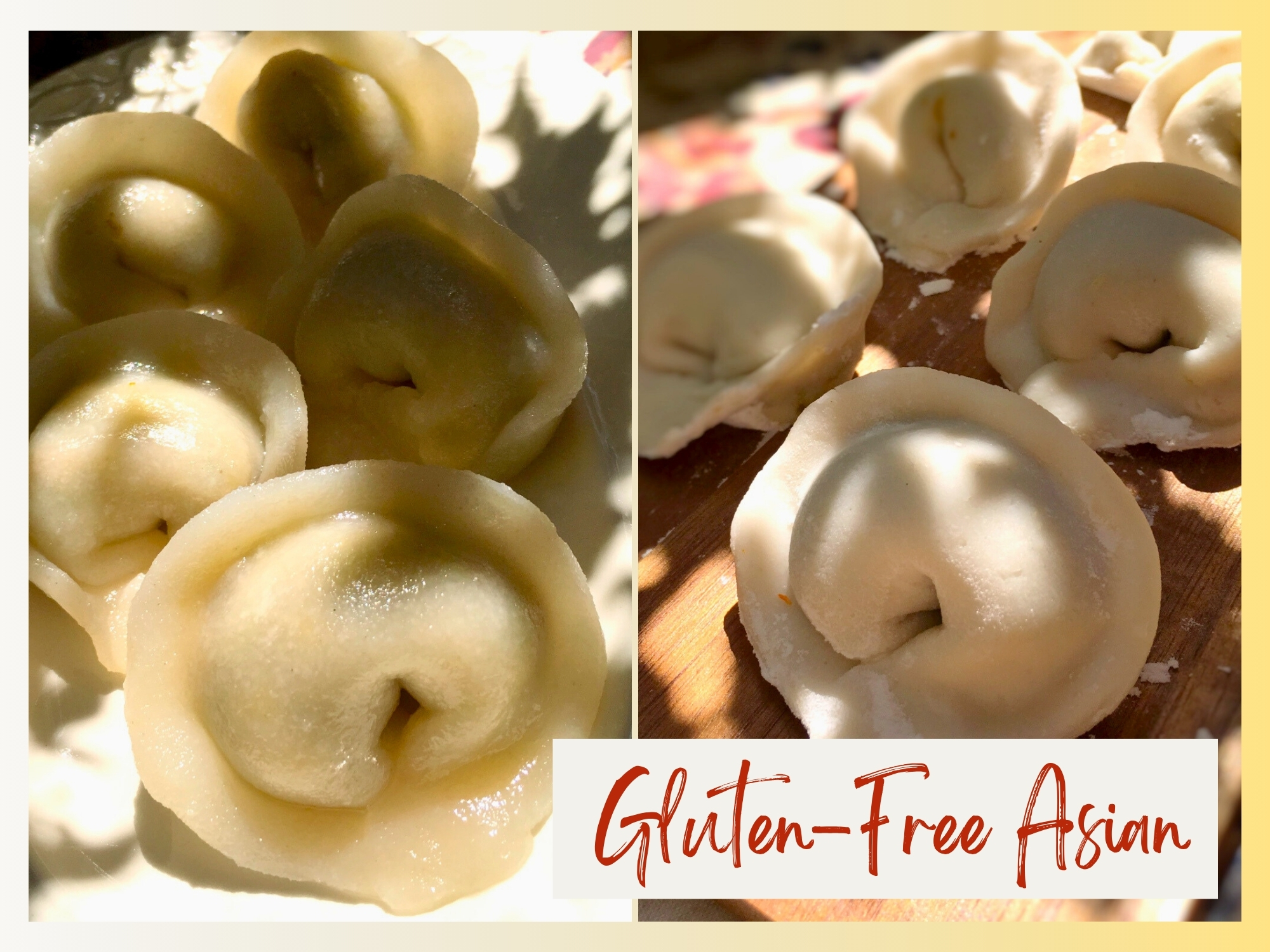 Gluten free veggie dumplings - Recipe and photo ©ockstyle [cover]